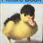 5th Picture Book