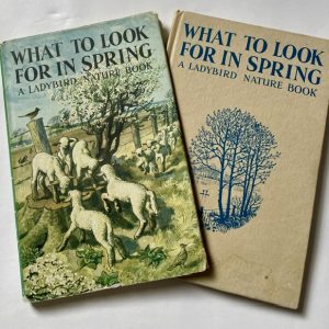 spring dj