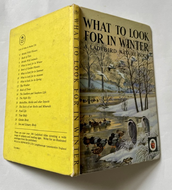 winter matt b
