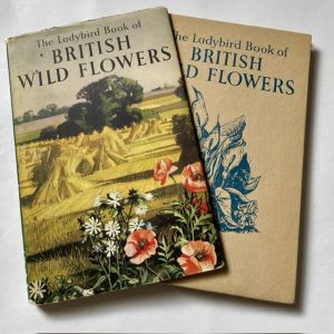 wild flowers dj
