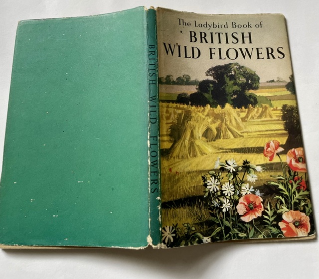wild flowers dj b
